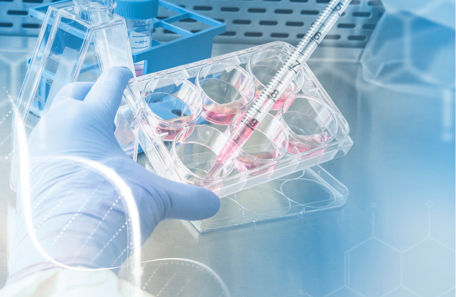 Clinical Trials image